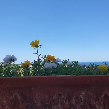 Simonelli Apartamento Tropea