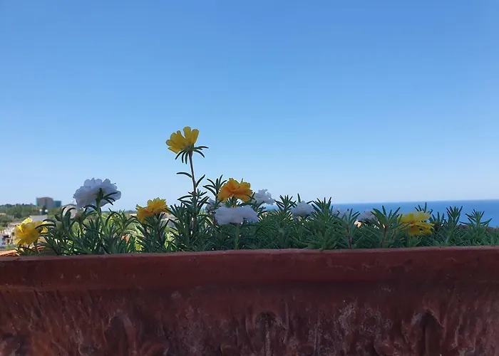 Simonelli Apartamento Tropea